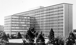 menzies building