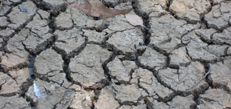 cracked earth