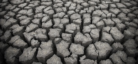 Disaster resilience