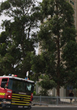 Fire Safety Video for Public Housing Tenants