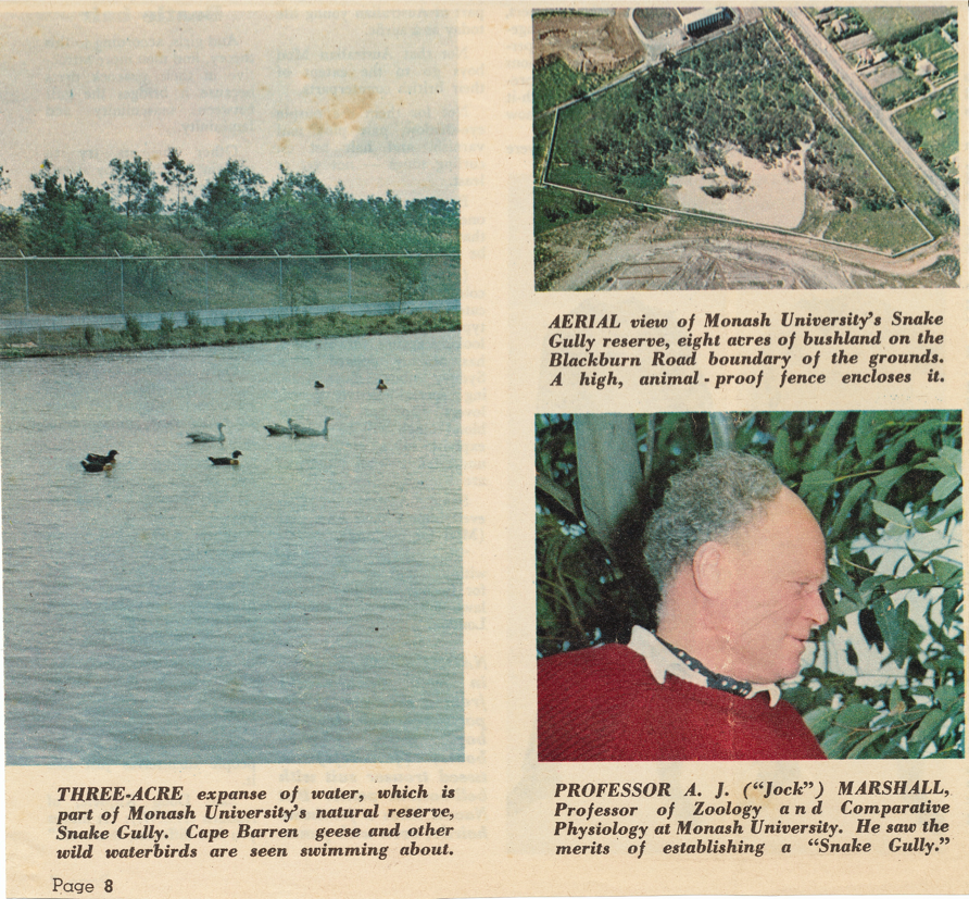 Archive articles