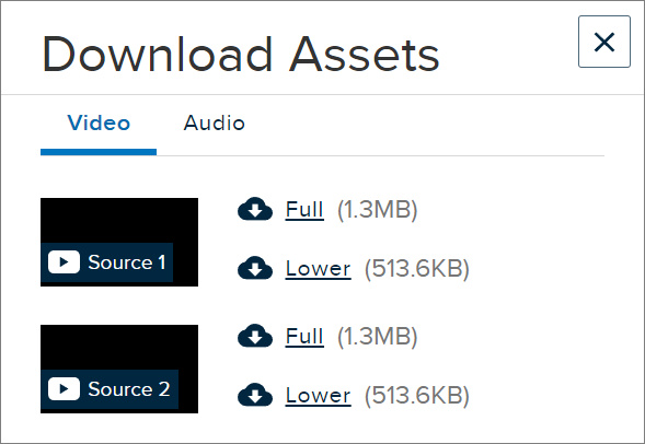 Screenshot of assets list