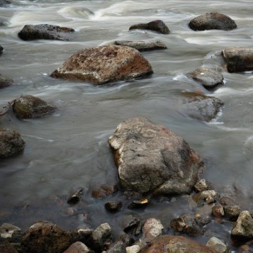 Photo by Jon Clements.