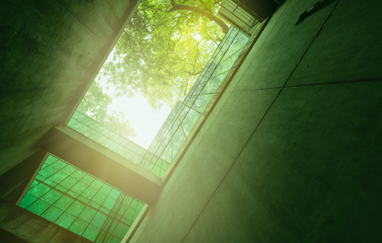 Monash University news