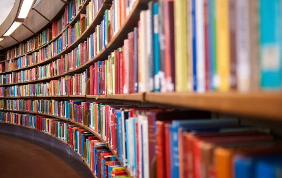 Colourful books on a curved library bookshelf