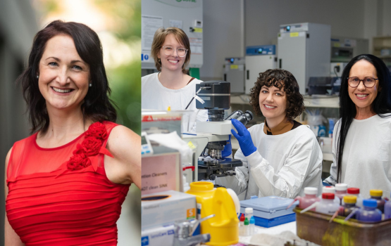 Monash University news