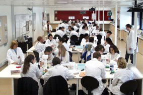 Genetics lab class