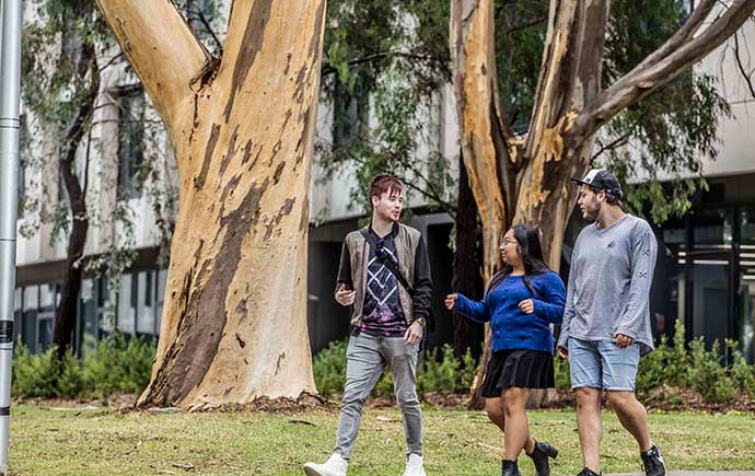 Students walking past tree