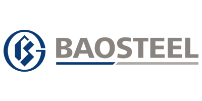 Shanghai Baosteel Group Corporation Shanghai Baosteel Group Corporation