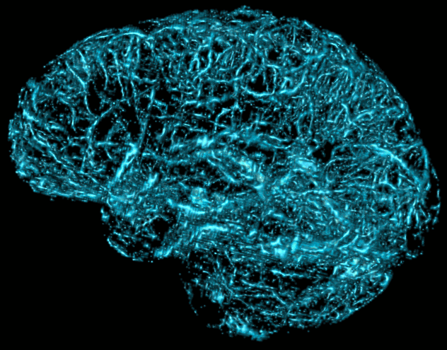 Image courtesy of Dr Phillip Ward.