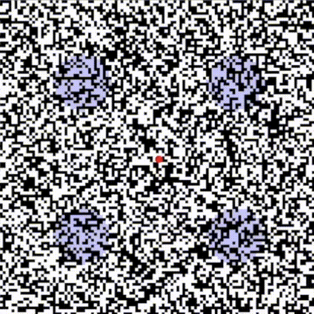 SSVEP attention task