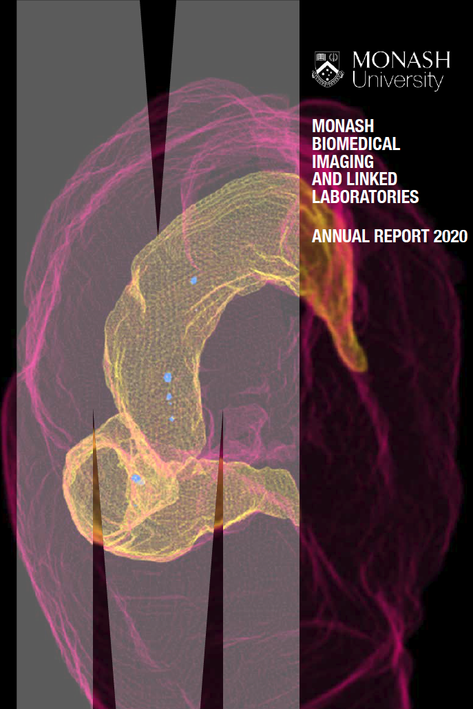 MBI Annual Report 2020 cover