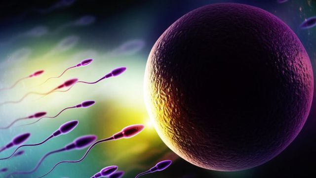 is he really infertile - course logo