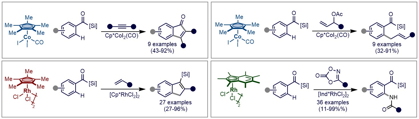 C-H Functionalisation