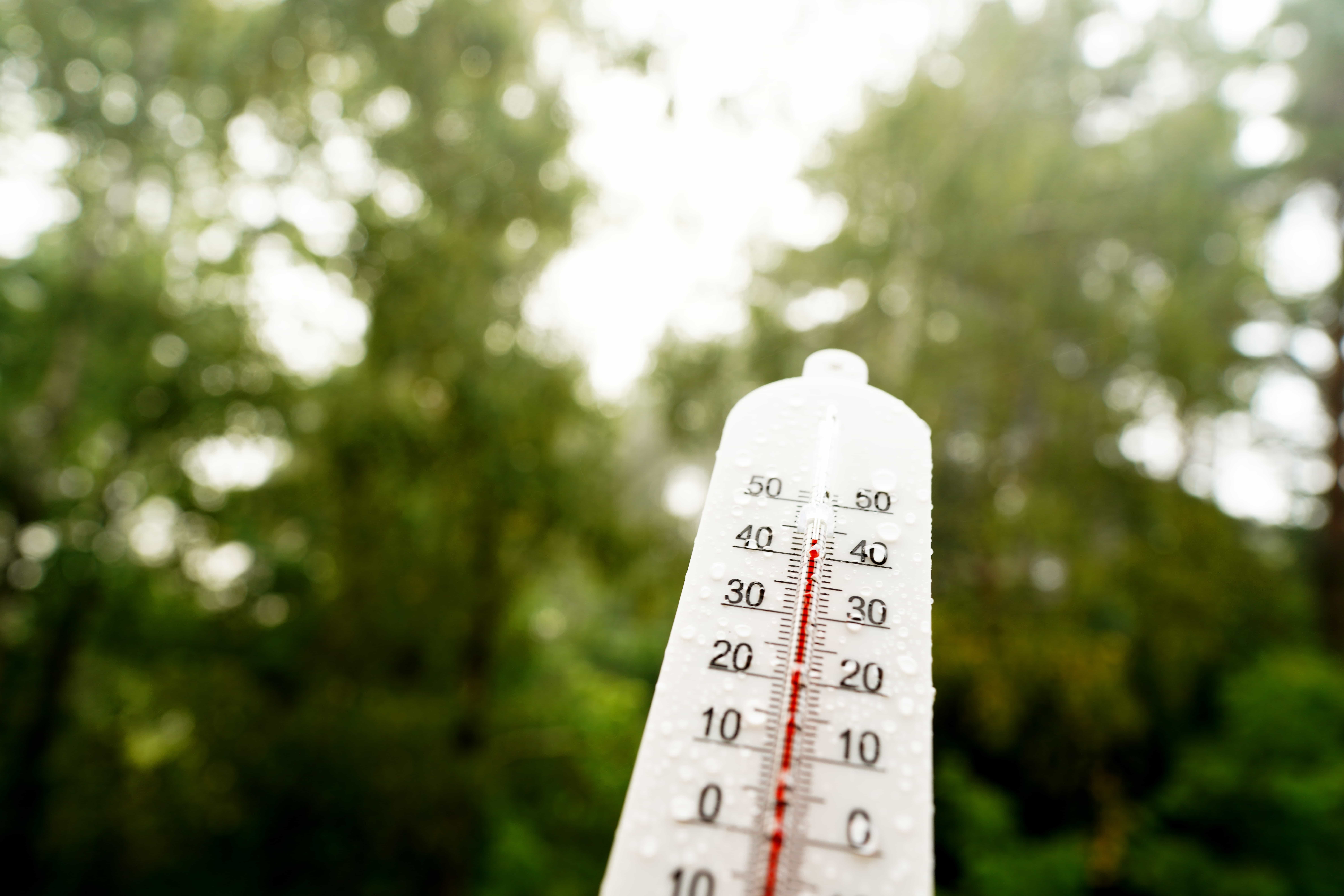 a picture of a thermometer showing temperature in degrees celsius