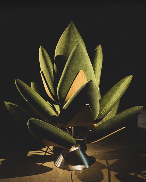 Agave, culturally significant design, furniture/sculpture. Photography by wani Agave, culturally significant design, furniture/sculpture. Photography by wani