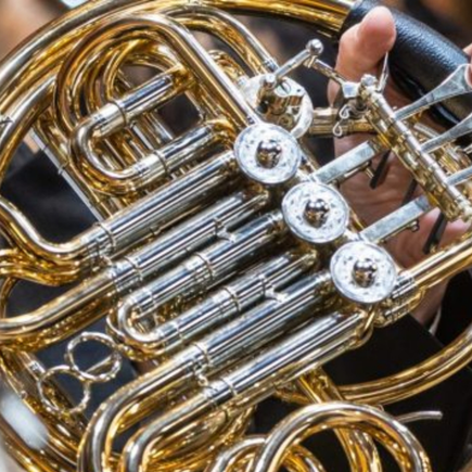 Community Horn Day COMMUNITY HORN 435X435
