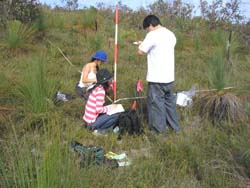 Students sampling in quadrat