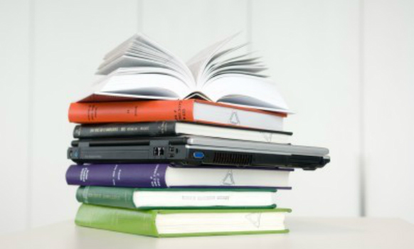 Academic Promotion (under review)