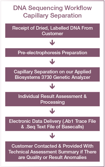 dna sequencing capillary separation only workflow