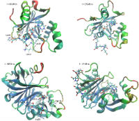 Structure and MDS of an F420H2-Dependent Reductase (Ney et al Front Microbiol 2017). Image: Dr Chris Greening. Structure and MDS of an F420H2-Dependent Reductase (Ney et al Front Microbiol 2017). Image: Dr Chris Greening.