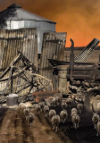 Rural Fire Tales
