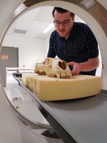 3D scanning a skull 3D scanning a skull