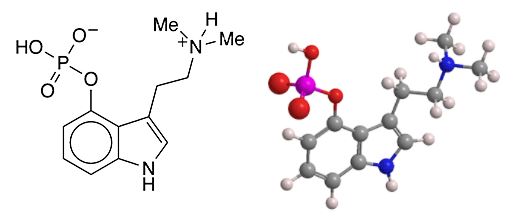 Psilocybin