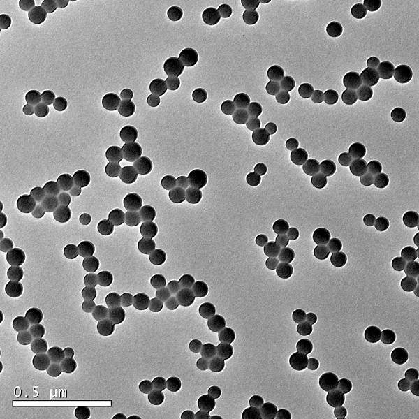 Polystyrene nanoparticles synthesised through RAFT polymerization