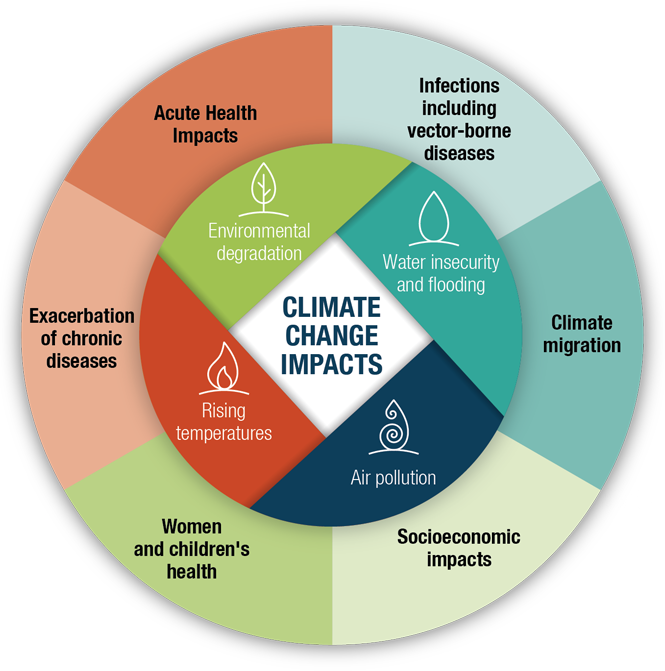 Climate Change Impacts Diagram