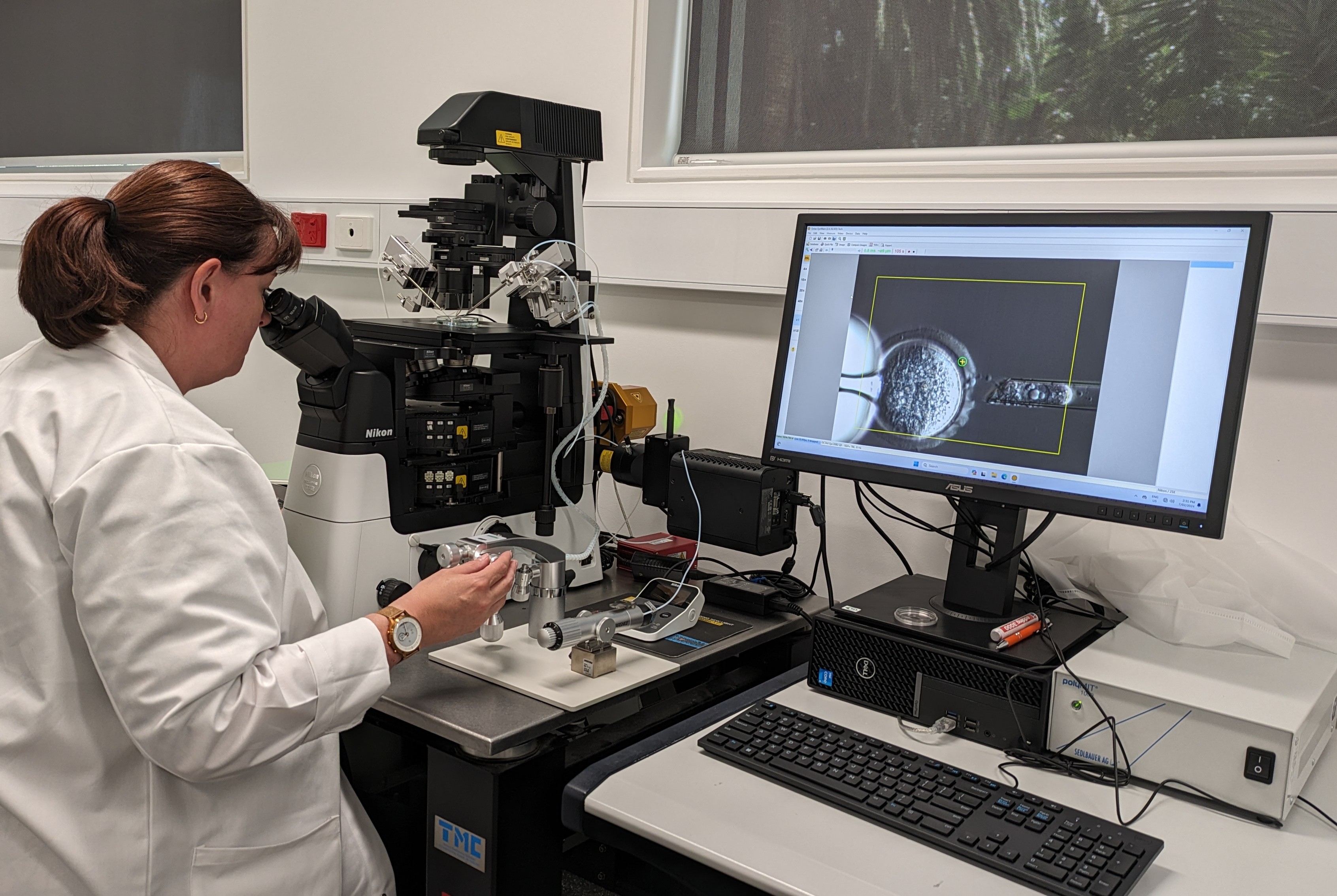 Mel Caddy is sitting at a desk in front of an EmbryoScope. She is looking through the viewfinder. Her brown hair is tied in a ponytail. Next to the EmbryoScope is a computer. On the computer screen is footage of a mouse egg that is undergoing mitochondrial donation.