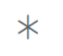 asterisk icon