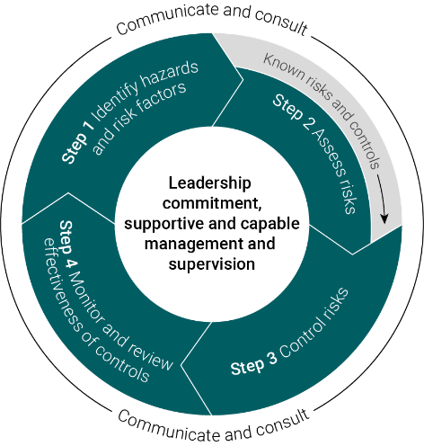 The risk management model is depicted as a circular four step process with arrows moving in a clockwise orientation.