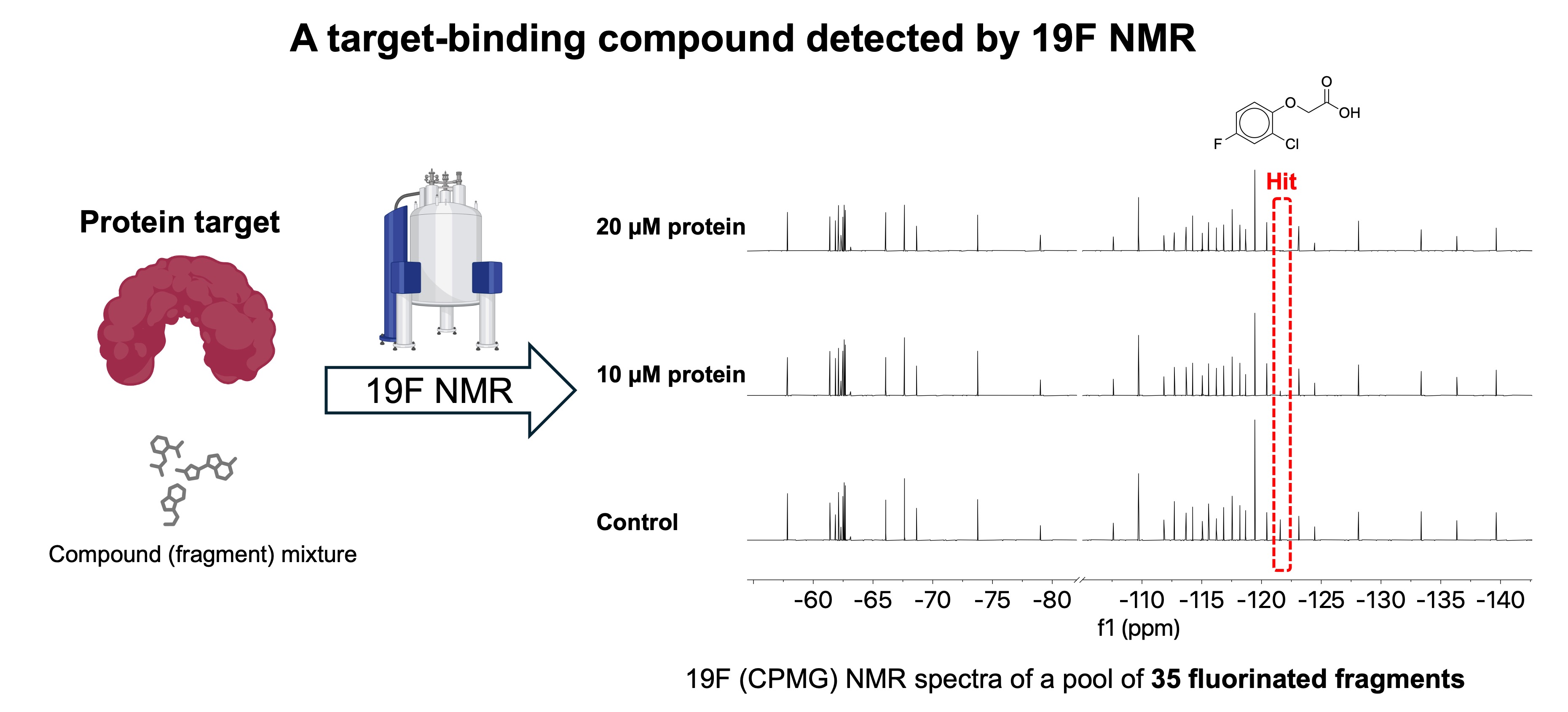 A target-binding compound detected by 19F NMR