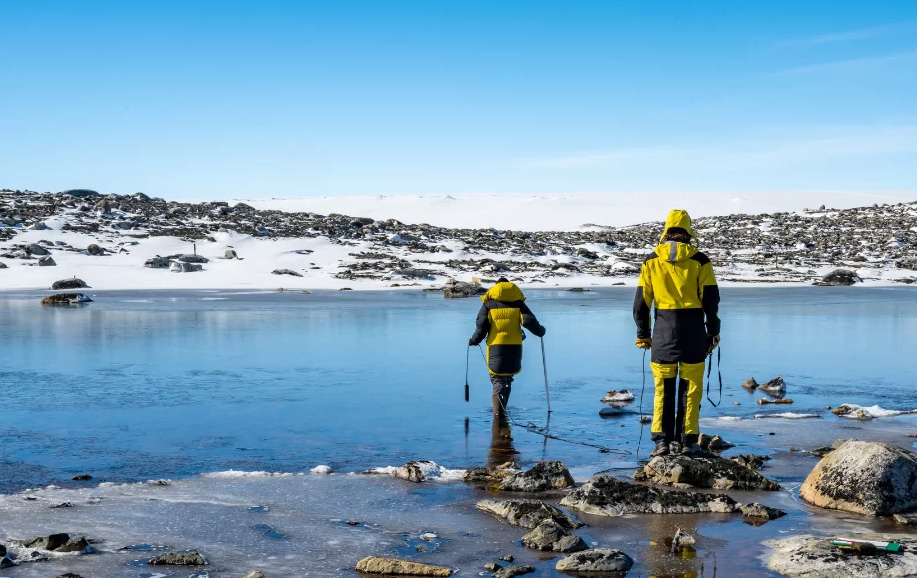 Antarctica environment future image