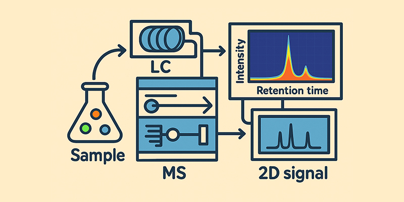 Protein structural characterisation