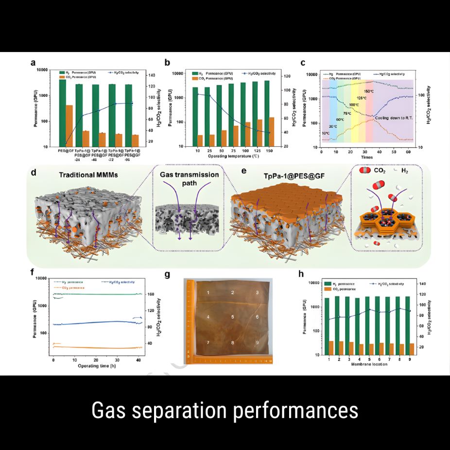 gas separation performances