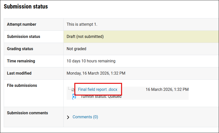 Screenshot of the uploaded file name on the Moodle Assignment page