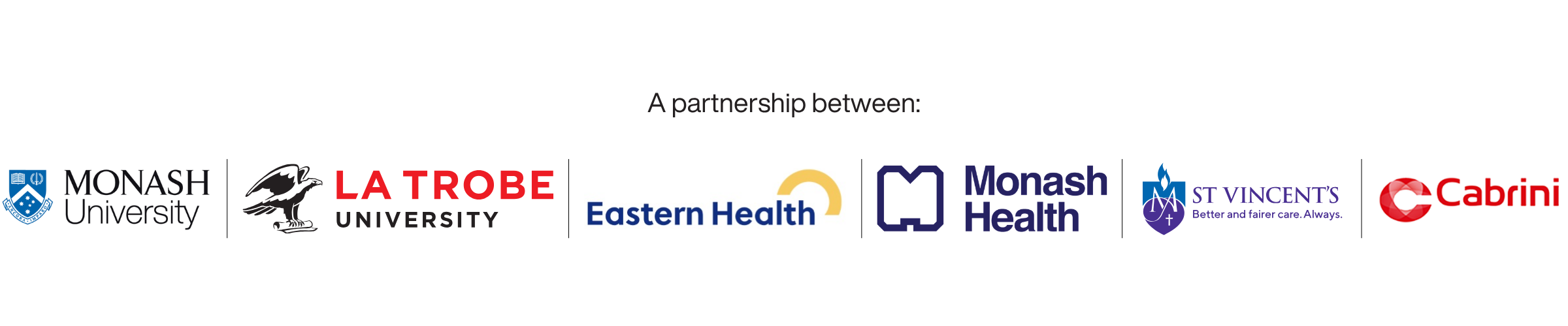 logo lockup featuring raise project partner organisations