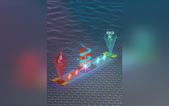 A futuristic illustration shows a nanoscale material lattice transmitting red and cyan signals between two chips, projecting holographic images of a kangaroo and a koala. Bright spiralling energy and waveforms suggest advanced or quantum