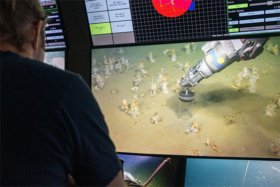 Hunting for new Asgard archaea in shallow coastal sediments off the coast of Uruguay. (Image Credit: Monika Naranjo-Shepard/Schmidt Ocean Institute)