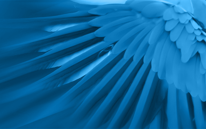 MTeach-blue-690x435.png