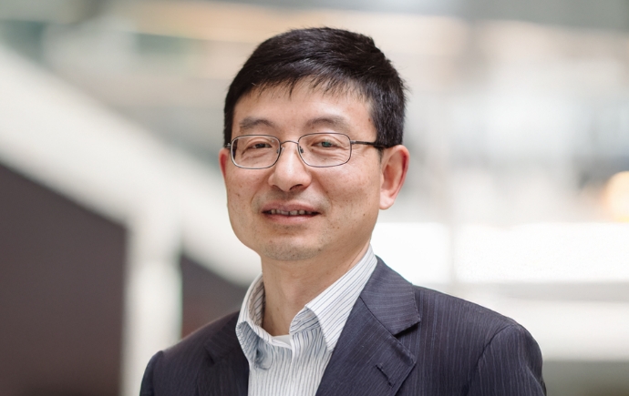 Professor Huanting Wang