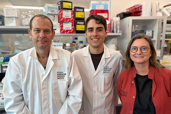 L-R: Professor Chen Davidovich, PhD researcher Samuel Agius and Professor Edwina McGlinn have discovered how cells decide how strongly to silence genes that are required for controlling cell identity. 