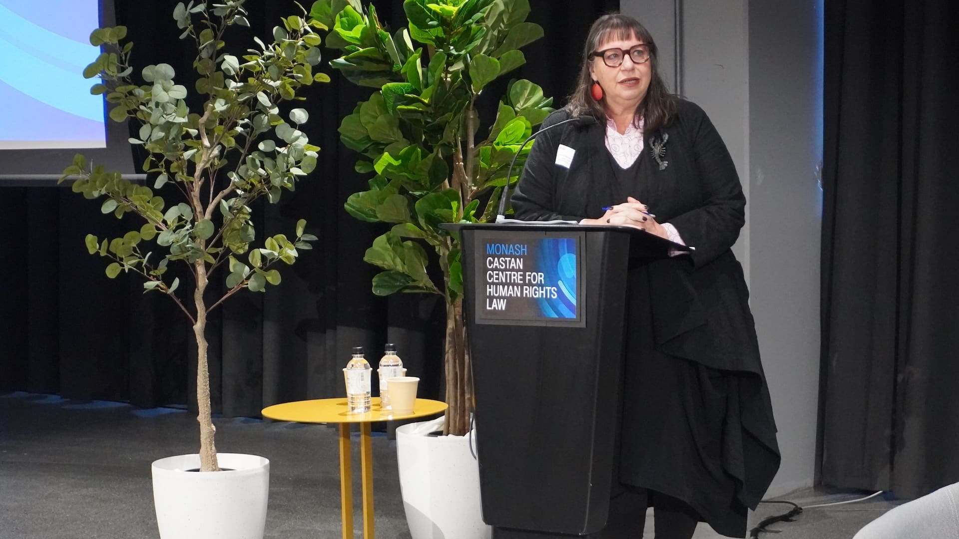 Vice Chancellor&rsquo;s Distinguished Professor Melissa Castan welcomes attendees to the Annual Castan Centre for Human Rights Law Conference.