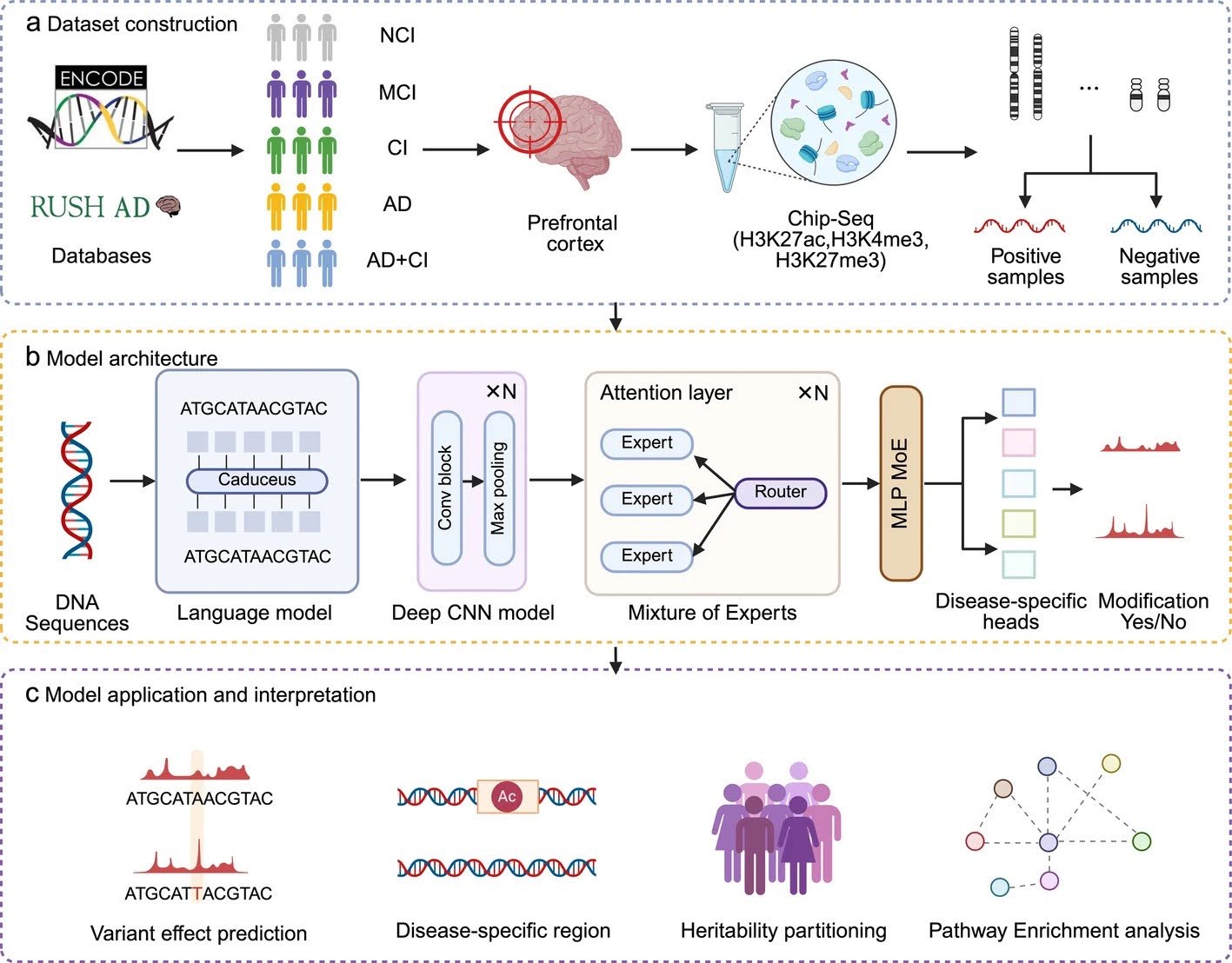 DNA language models figure