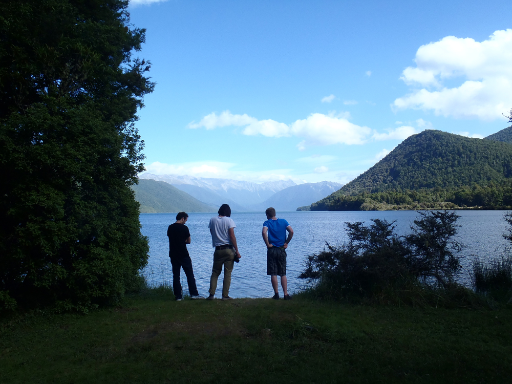 Wellington1