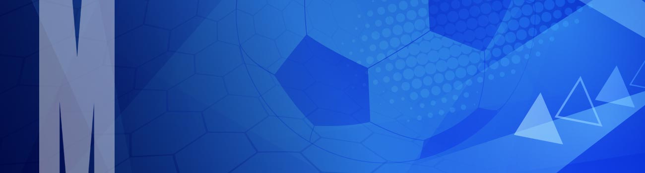 decorative page banner