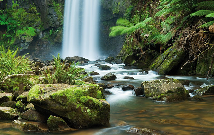 Rainforest creek and waterfall