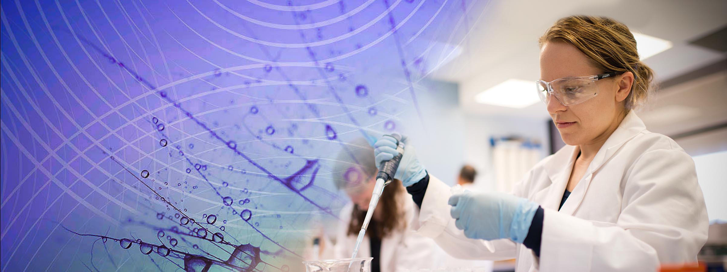 Research groups - banner2
